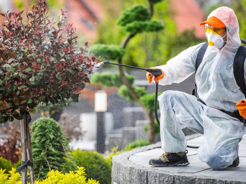 Mahmudiye Haşere İlaçlama