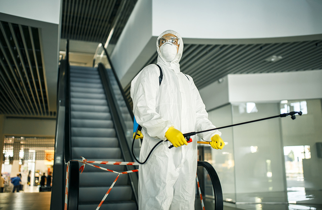 Mahmudiye Haşere İlaçlama